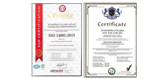 iso gmp ve 22000 belgeleri